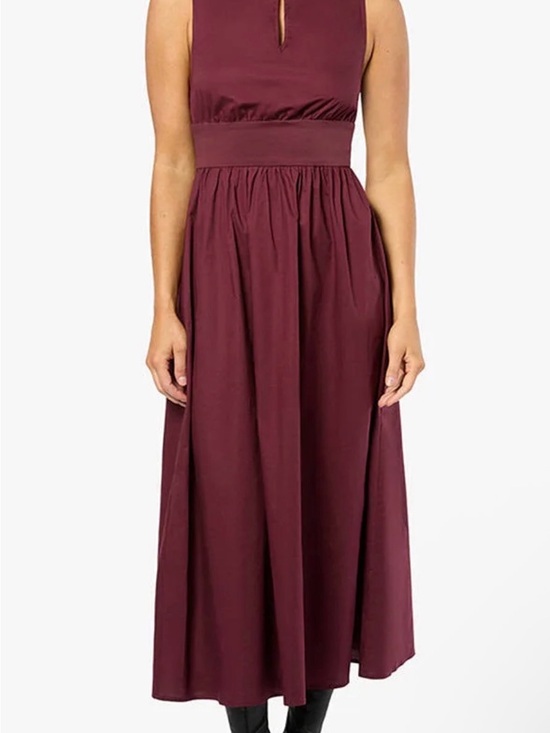 WeWoreWhat Dresses & Skirts - WeWoreWhat Burgundy Sleeveless Maxi Dress